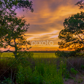 intracoastal sunset by Mike Pedigo - Landscapes Sunsets & Sunrises