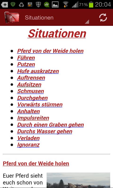 Pferde flüsternd reiten Screen 3
