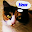 Animal Sounds أصوات الحيوانات Download on Windows