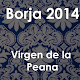 borja parties of the pedestal 2014 APK