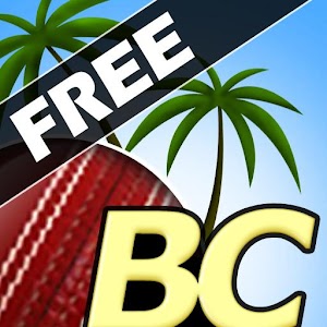 Beach Cricket logo