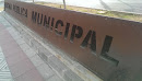 Piscina Pública Municipal