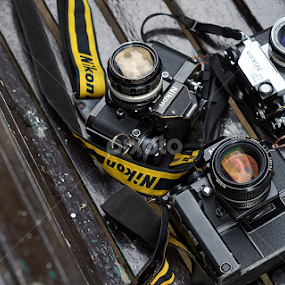 Nikon Lovers by Roberto Sinaga - Artistic Objects Antiques