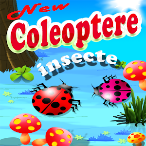 Insecte Coleoptere.apk 2.0