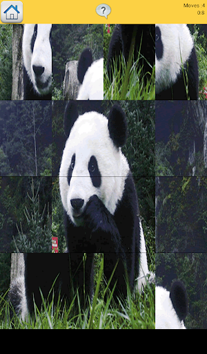 【免費解謎App】Panda Puzzle for Kids-APP點子