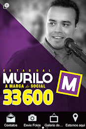 murilo ferreira alves poster 2