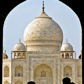 Taj Mahal by Balaji Nagarajan - Buildings & Architecture Public & Historical