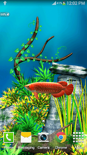 download Arowana 3D Pro Live Wallpaper free