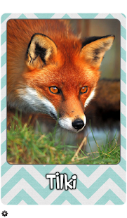 Bebek Kartları Hayvanlar Alemi Screenshots 6