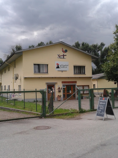 Geflügelhof Feldkirch