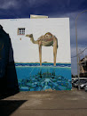 Camel Atlantis