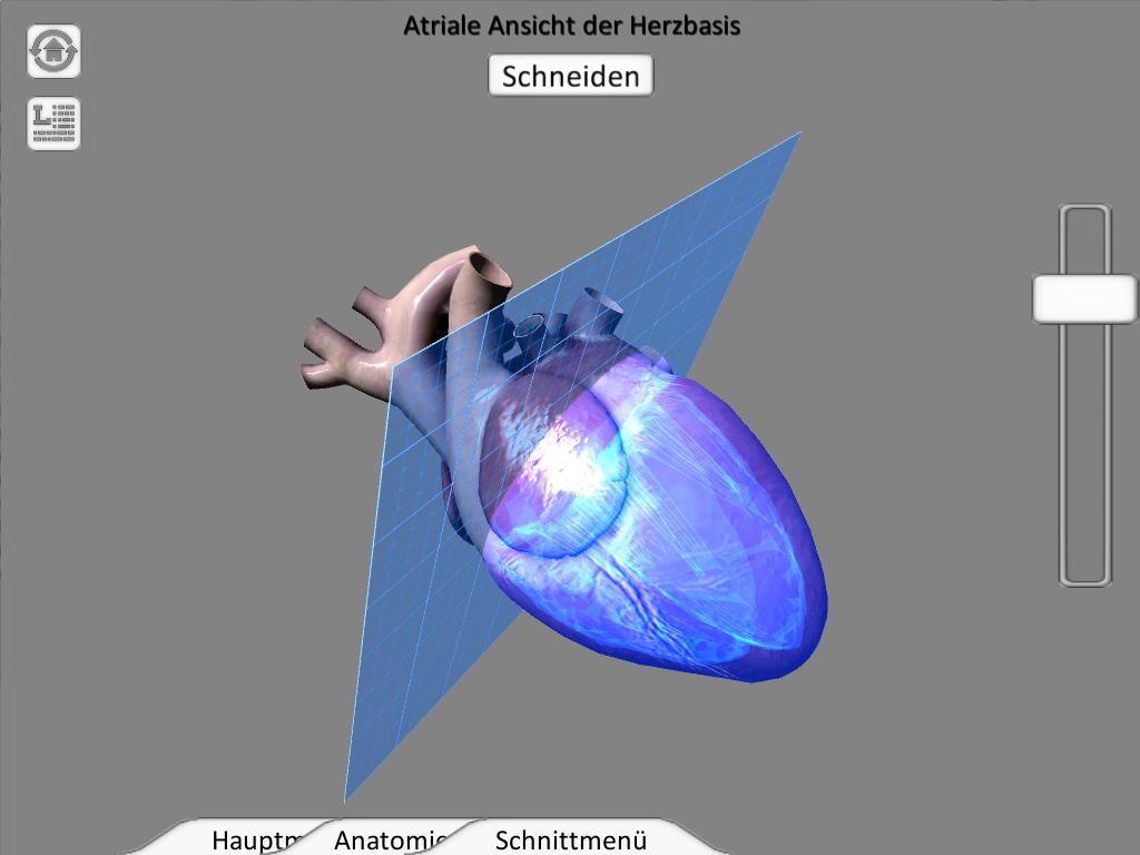 Android application Cat Heart Interactive screenshort