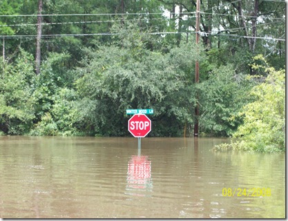 storm2008 067
