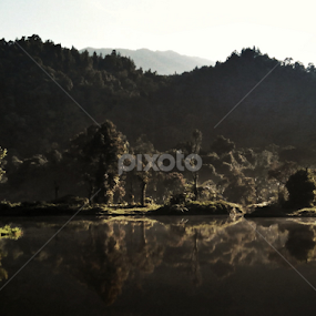 in the morning by Nugroho Isryanto - Landscapes Forests