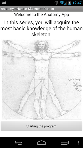 Anatomy - Human Skeleton