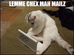 let me check my emails lolcat