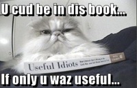 funny-pictures-cat-useful-idiots-book