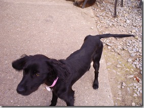 Ireland Summer 2008 021