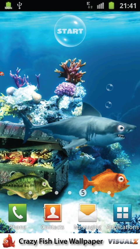 fish live spiel fish live spiel