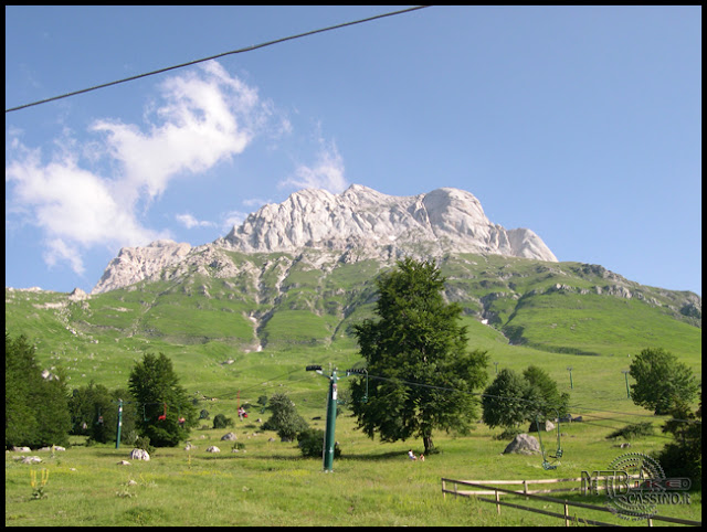 DSCN0013.JPG