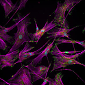 Biology News logo