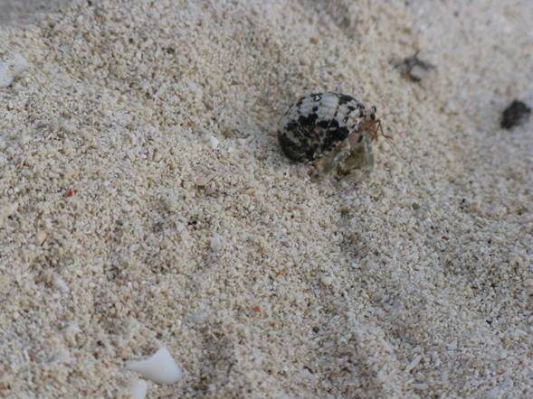 [clip_image002[14][2].jpg]