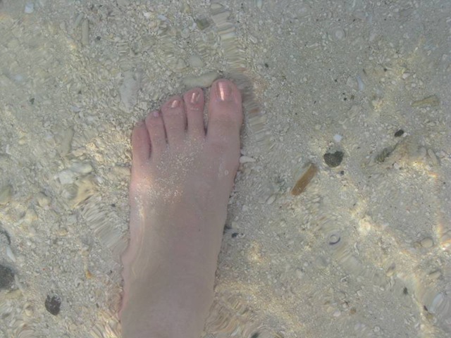 [clip_image002[30][2].jpg]