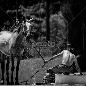 Taking a Bath by António Lopes - Black & White Animals