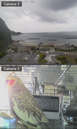 Viewer for Agasio IP cameras