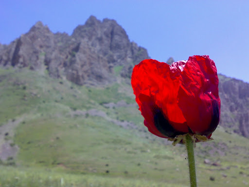 تقديم به دوستان با نشاط كوهستاني 