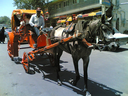 درشکه رانی در سرعین -870511- ستوده 