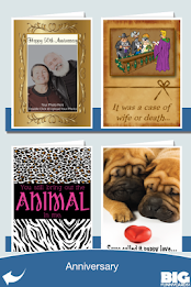 Big Funny Cards poster 3