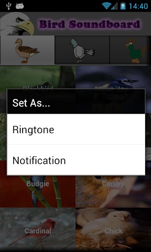 【免費娛樂App】Bird Ringtones-APP點子