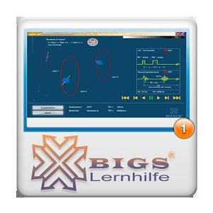 MRI Pulse Sequences