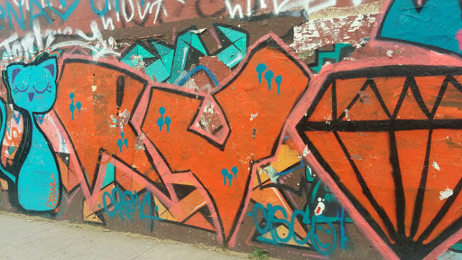 Graffiti Gato Diamante