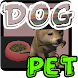 Dog Pet