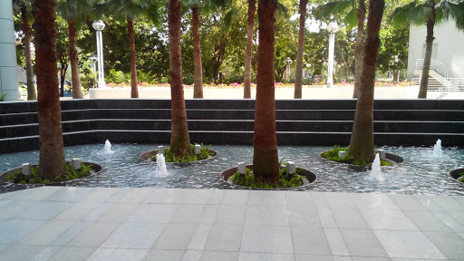 Trees And Mini Fountains