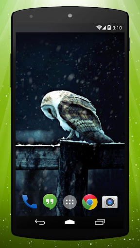 免費下載個人化APP|Night Owl Live Wallpaper app開箱文|APP開箱王