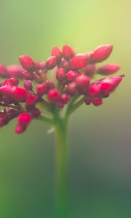 download Scenic parts free