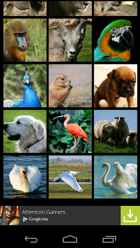 【免費媒體與影片App】Animals Wallpapers-APP點子