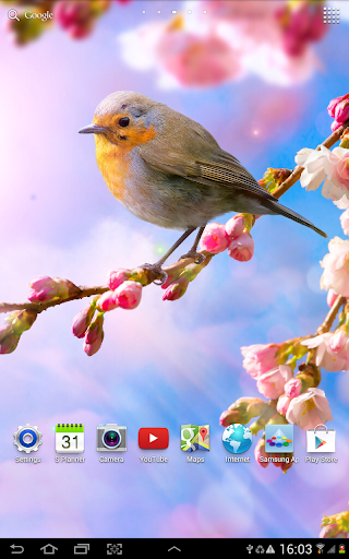 【免費個人化App】Flower Live Wallpaper-APP點子