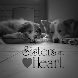 by Veerle Melkebeke -  