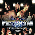 DDT 2009 両国 体験版 logo