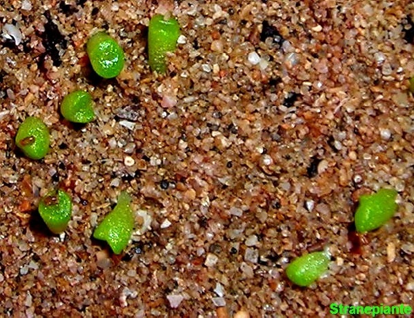 [200711293.2[1].jpg]