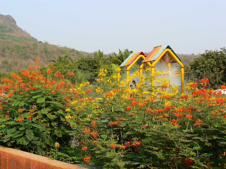 Barbados flower fence.