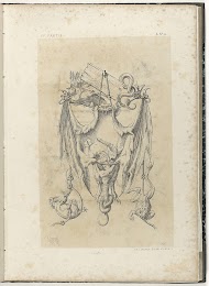 Vleermuis met Amor in buikholte