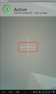 iGotcha Pro intruder detector Screenshots 2