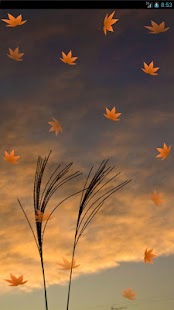 How to install Nohohon Cat 4.0 mod apk for bluestacks