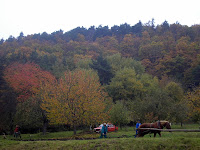 PA255562.JPG