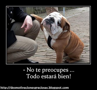 Free Download fotos graciosas APK for Android